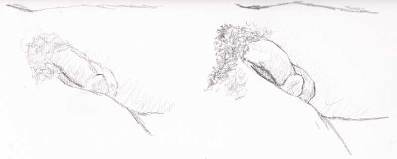 Cock