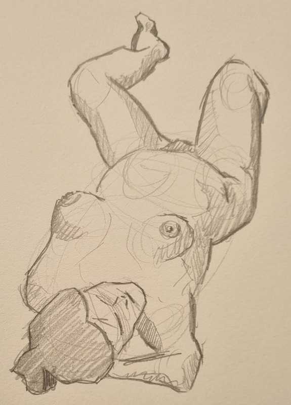 Woman, 11 of 11, reclined (foreshortened), pencil