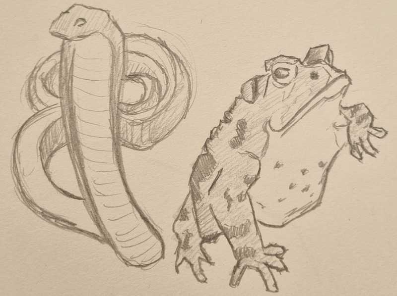 Snake and toad, pencil