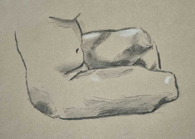 Woman, 4 of 9, legs study, charcoal and chalk on coloured paper