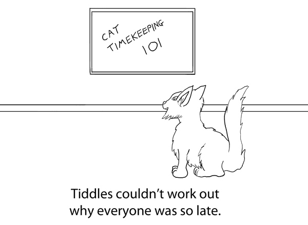 Cat timekeeping