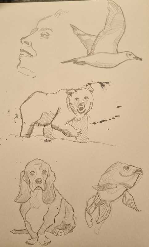 Photo references (animals), pencil