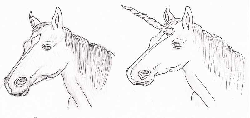Unicorn