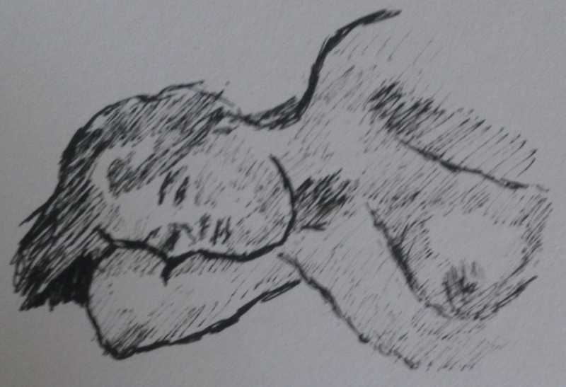 Lying lady.