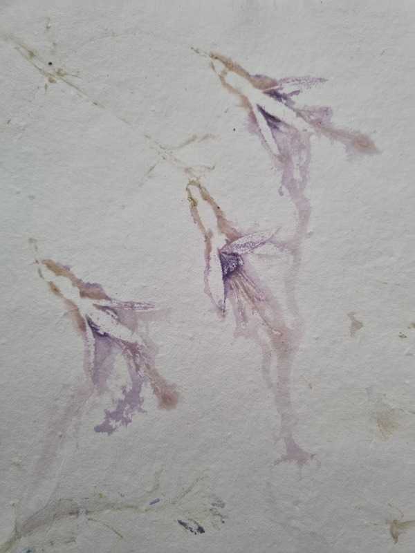 Flower Press
